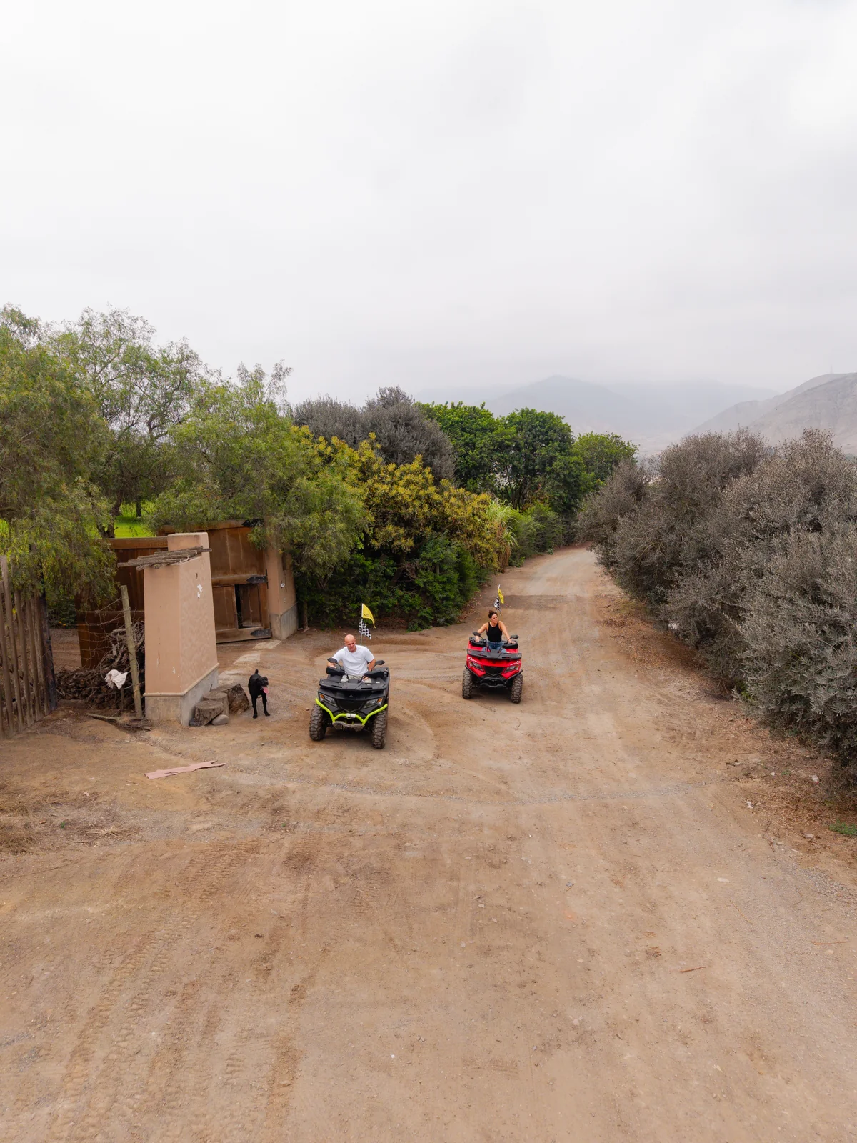 Participantes recorriendo en cuatrimoto un camino entre la vegetación de Azpitia
