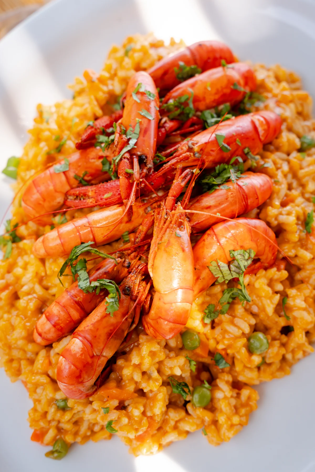 Arroz con camarones presentado con hierbas frescas en el restaurante Andenes de Azpitia